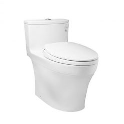 Bồn cầu TOTO MS885DT2